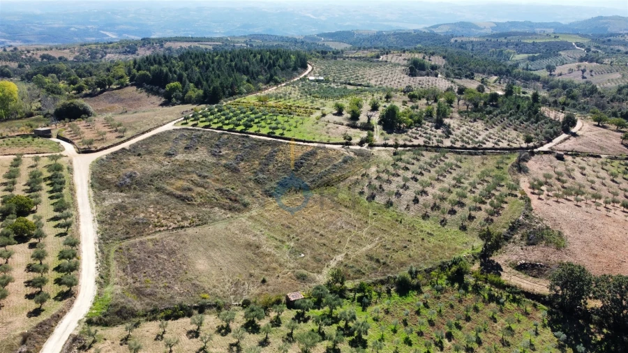 Terreno Agricola ou Rústico para Venda em Sambade Foto 2