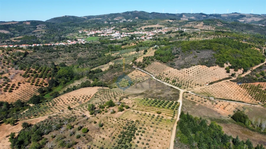 Terreno Agricola ou Rústico para Venda em Sambade Foto 5