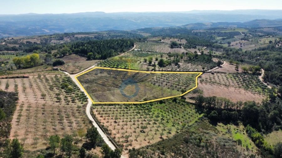 Terreno Agricola ou Rústico para Venda em Sambade