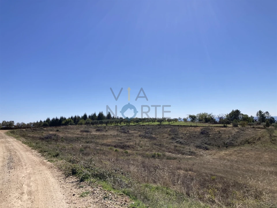 Terreno Agricola ou Rústico para Venda em Sambade Foto 4