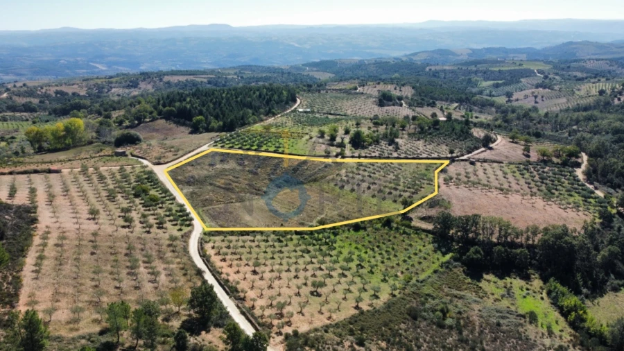 Terreno Agricola ou Rústico para Venda em Sambade