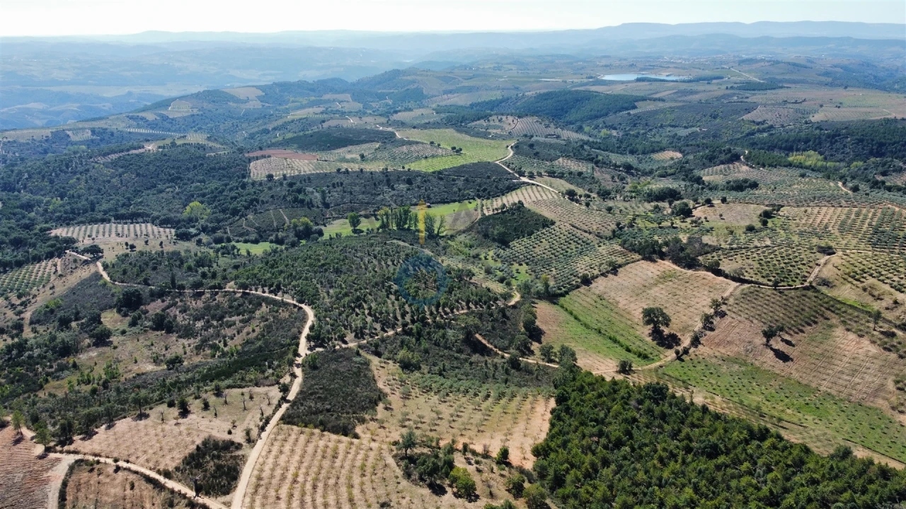 Quinta T0 para Venda em Sambade Foto 2