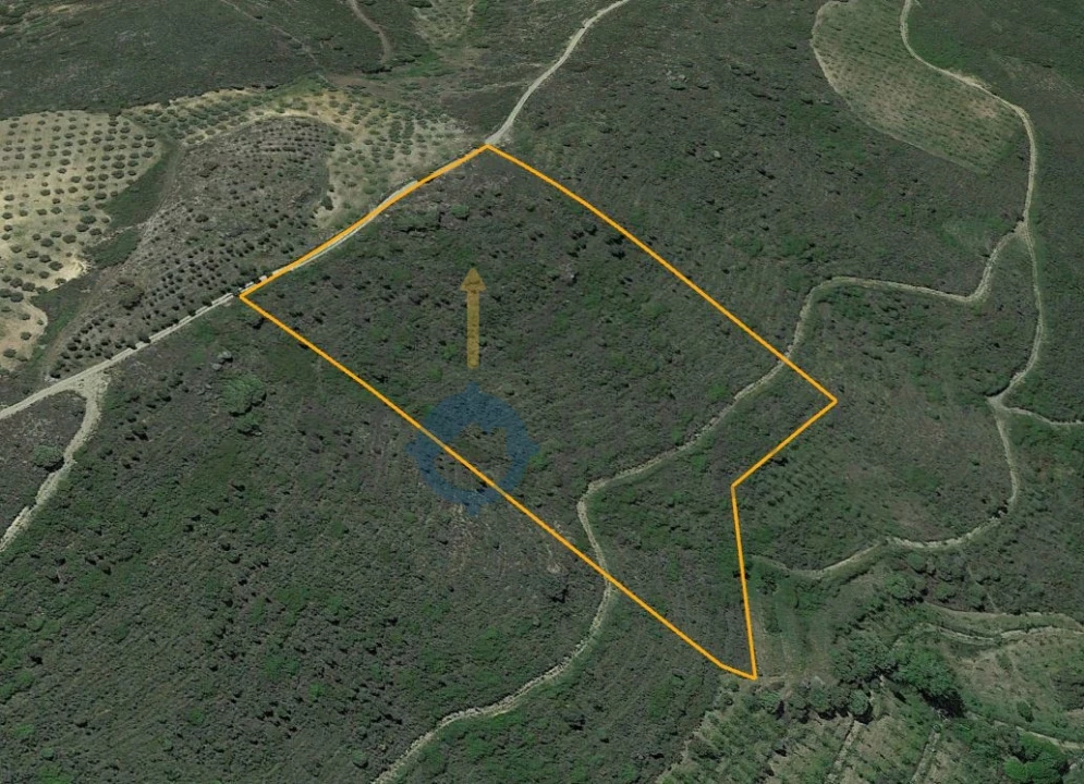 Terreno Agricola ou Rústico para Venda em Vilares de Vilariça Foto 1