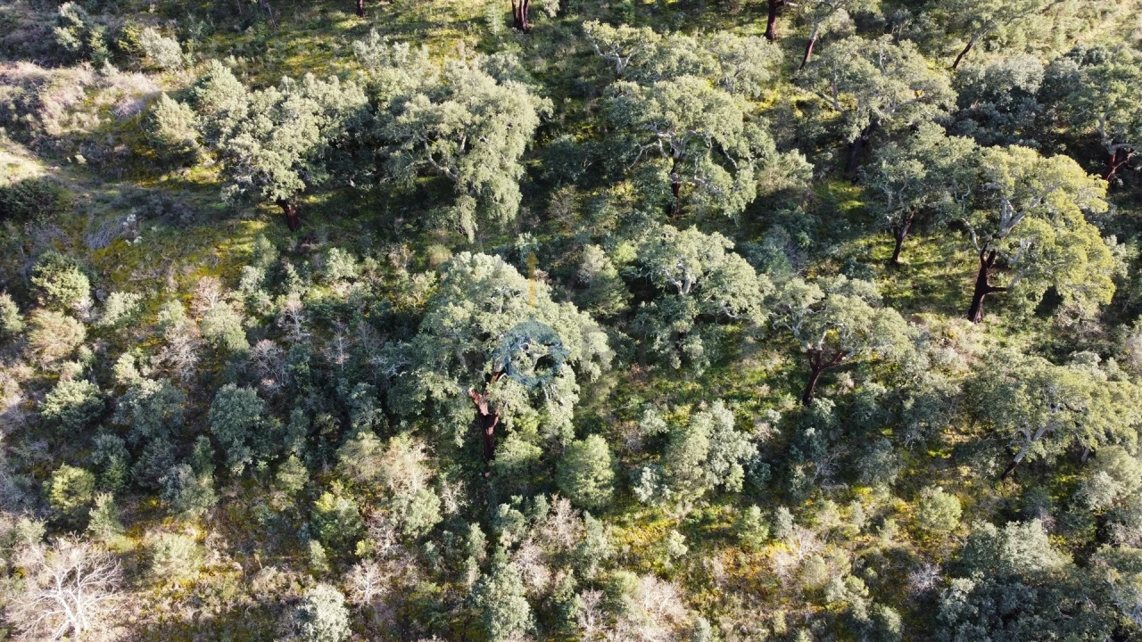 Terreno Agricola ou Rústico para Venda em Vilares de Vilariça Foto 2