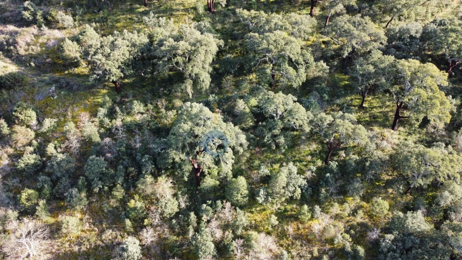 Terreno Agricola ou Rústico para Venda em Vilares de Vilariça Foto 2