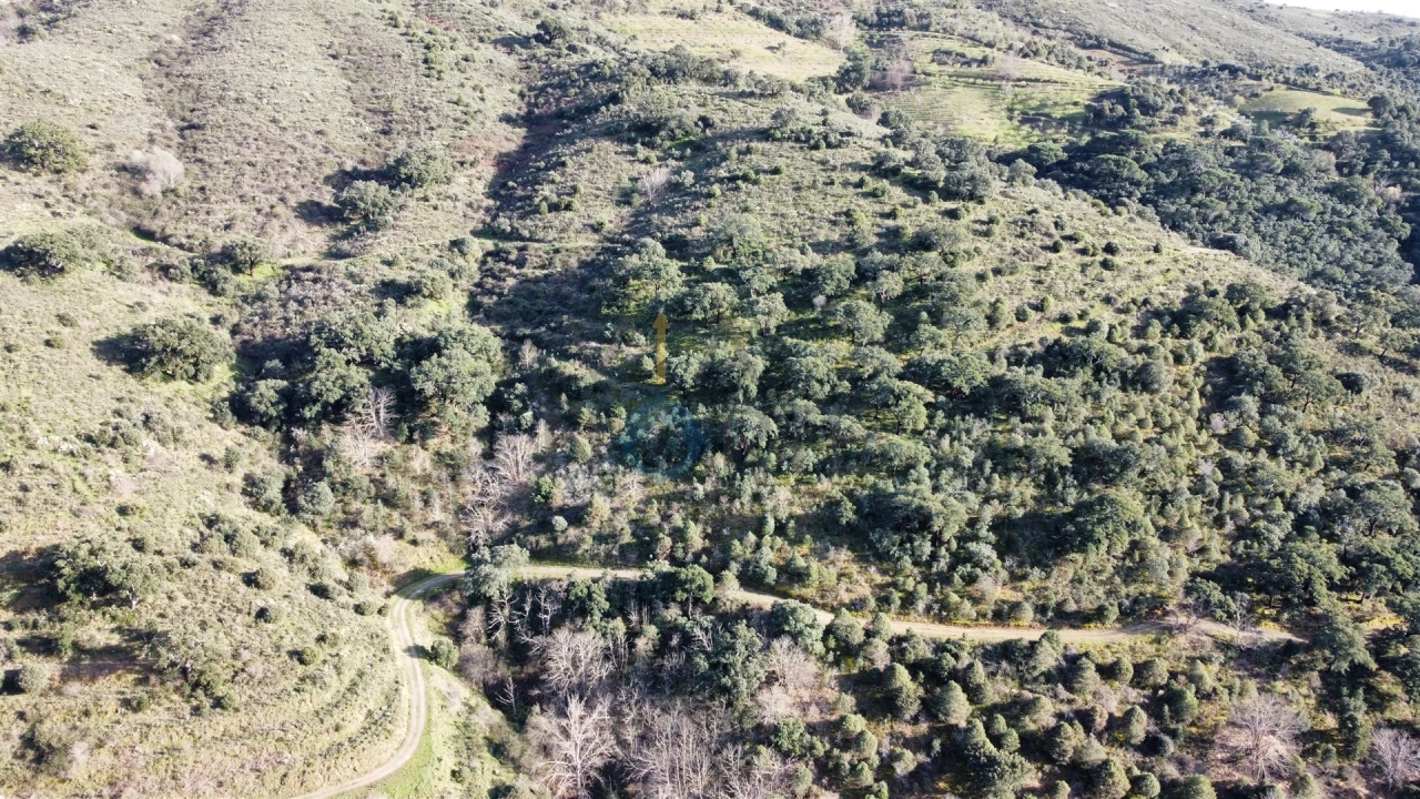 Terreno Agricola ou Rústico para Venda em Vilares de Vilariça Foto 4