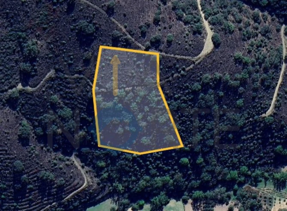 Terreno Agricola ou Rústico para Venda em Vilares de Vilariça Foto 1