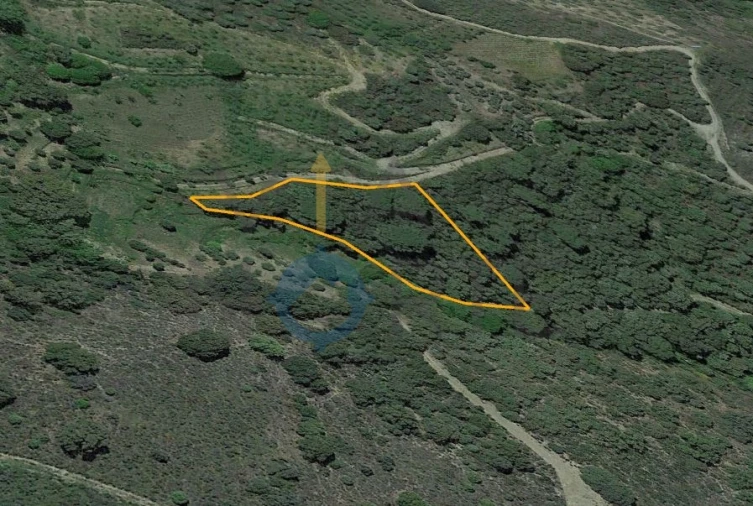 Terreno Agricola ou Rústico para Venda em Vilares de Vilariça