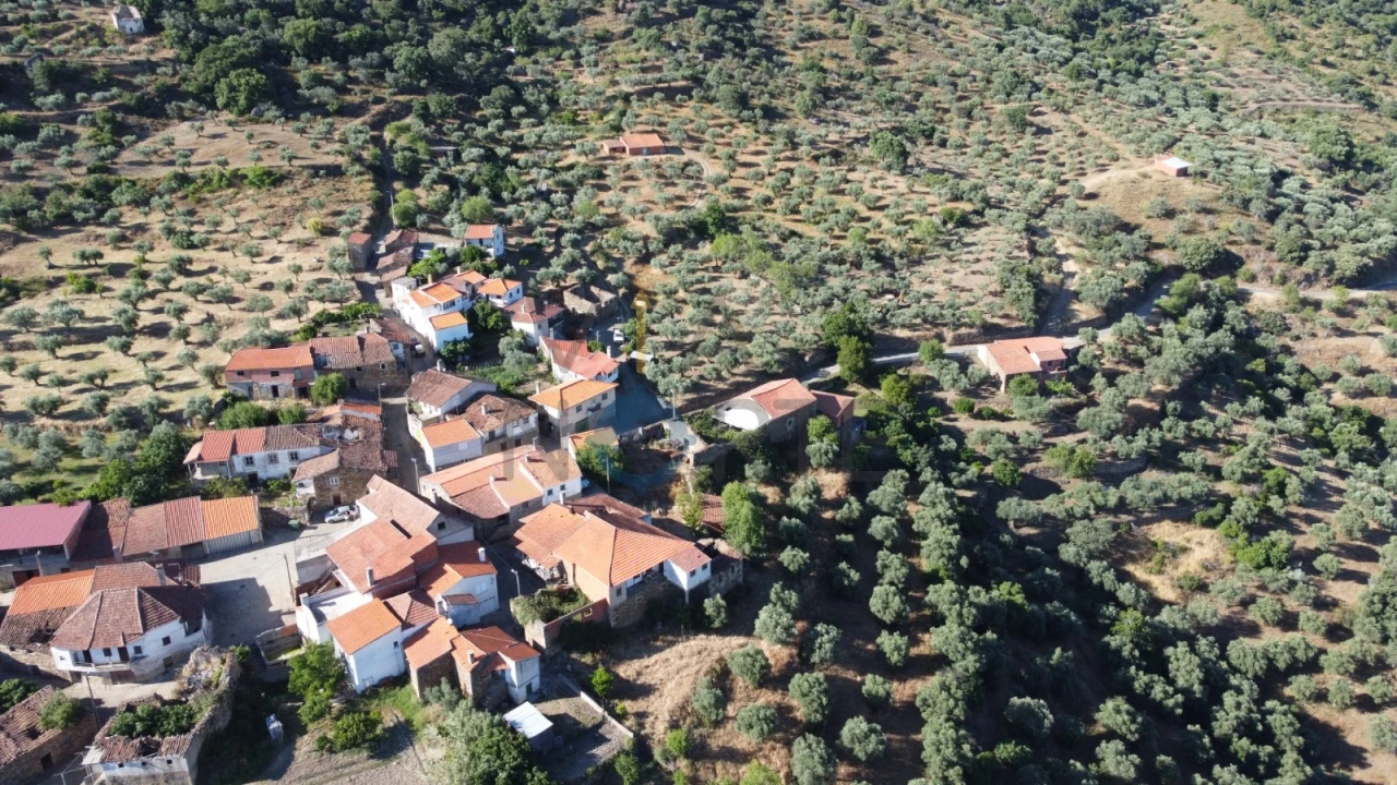 Terreno Agricola ou Rústico para Venda em Vilares de Vilariça Foto 3