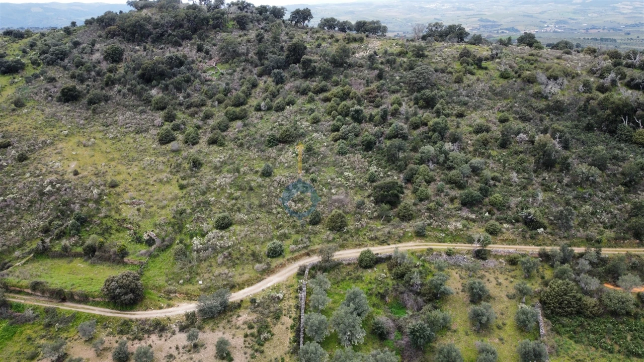 Terreno Agricola ou Rústico para Venda em Barcel, Marmelos e Valverde da Gestosa Foto 2
