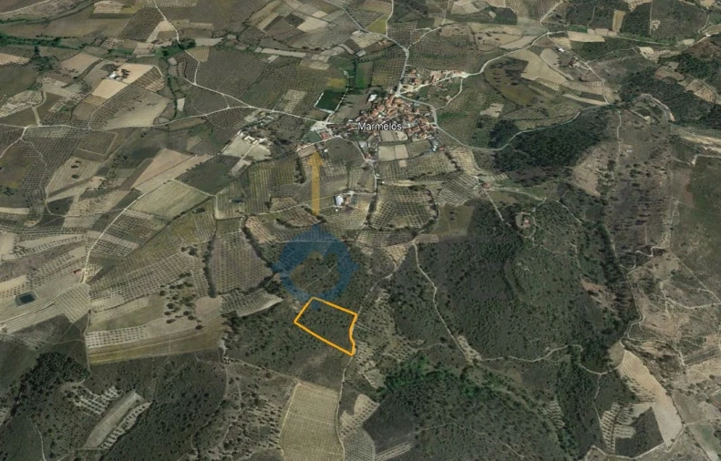 Terreno Agricola ou Rústico para Venda em Barcel, Marmelos e Valverde da Gestosa Foto 5