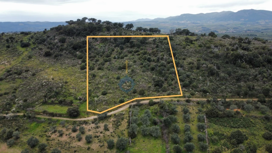 Terreno Agricola ou Rústico para Venda em Barcel, Marmelos e Valverde da Gestosa