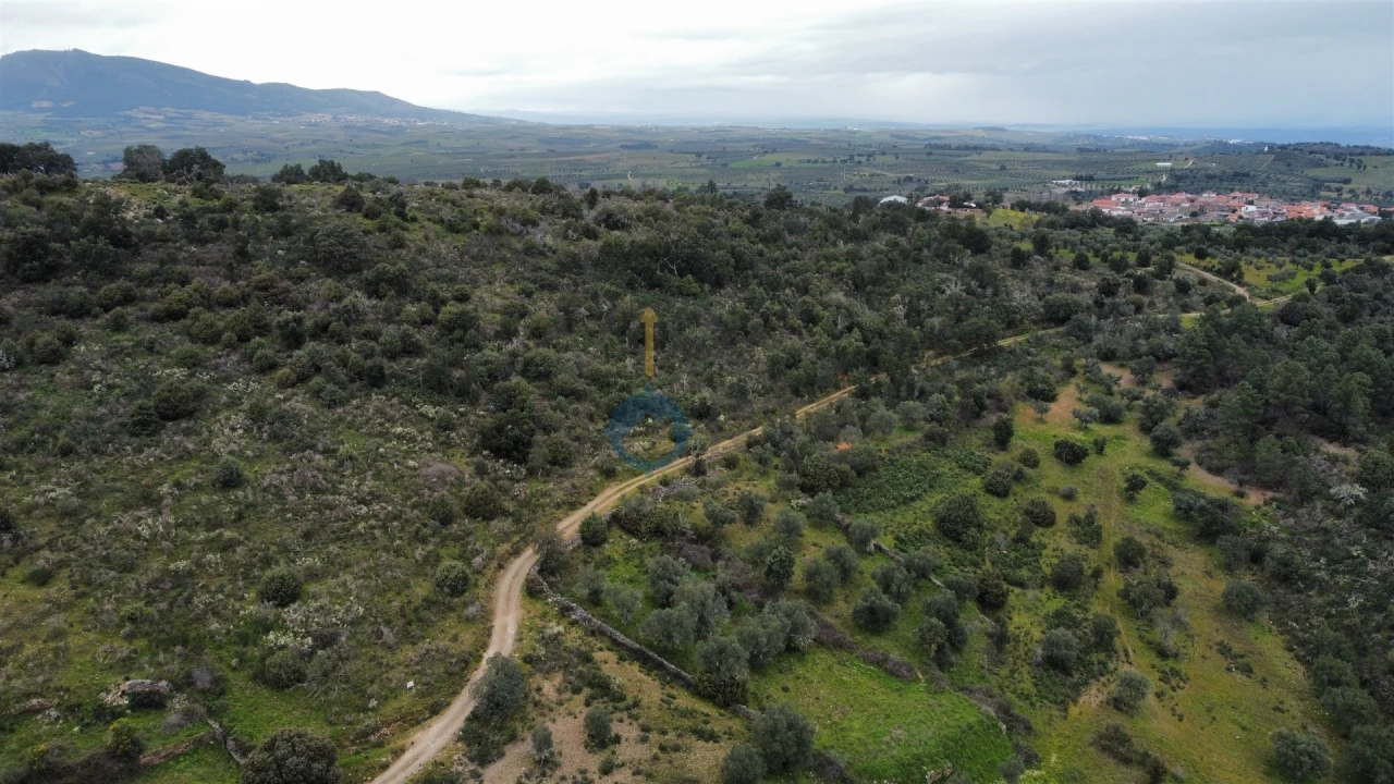 Terreno Agricola ou Rústico para Venda em Barcel, Marmelos e Valverde da Gestosa Foto 4