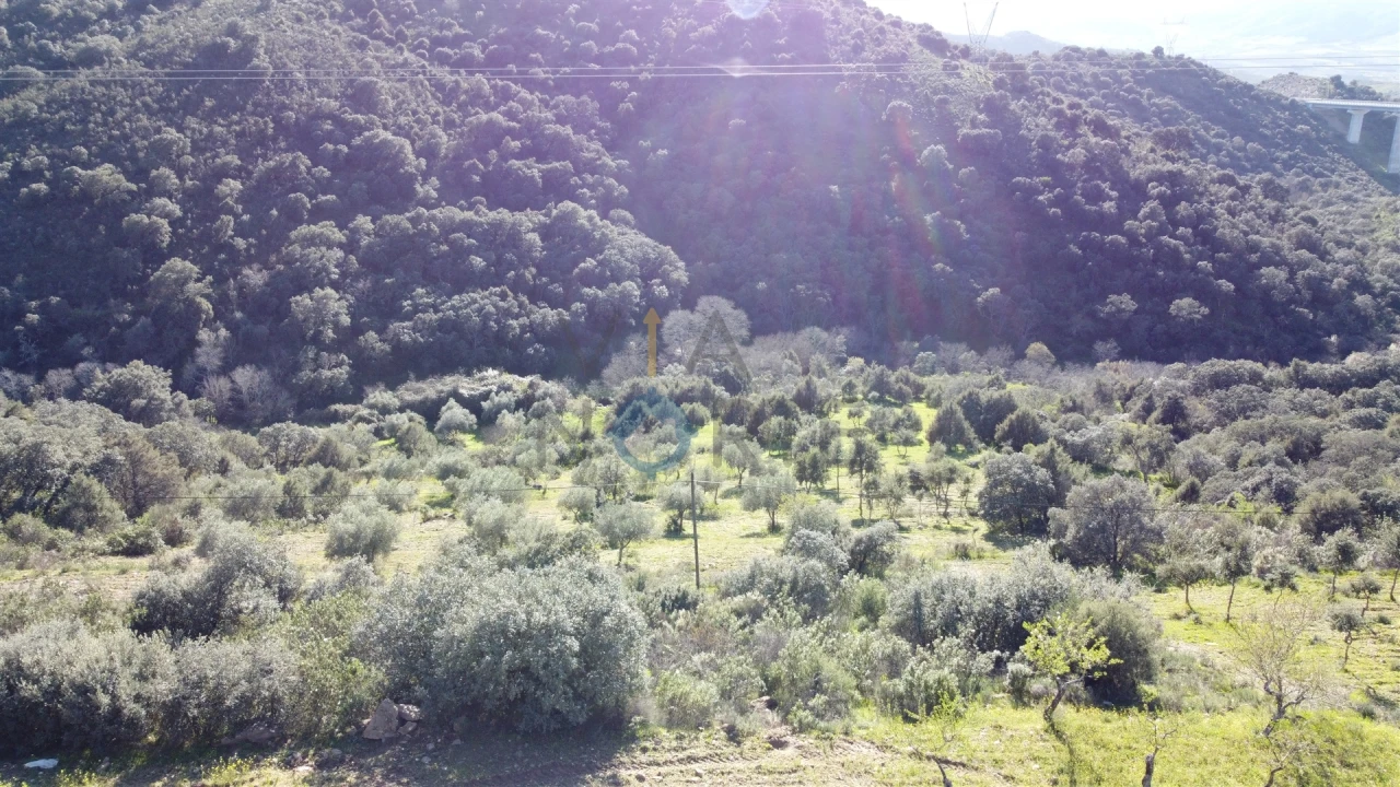 Terreno Agricola ou Rústico para Venda em Eucisia, Gouveia e Valverde Foto 5