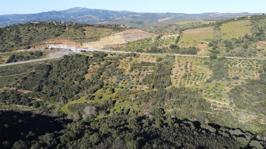 Terreno Agricola ou Rústico para Venda em Eucisia, Gouveia e Valverde