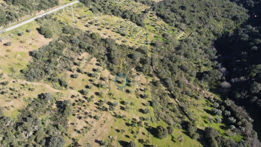 Terreno Agricola ou Rústico para Venda em Eucisia, Gouveia e Valverde Foto 3