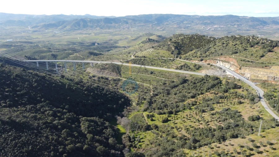 Terreno Agricola ou Rústico para Venda em Eucisia, Gouveia e Valverde Foto 2