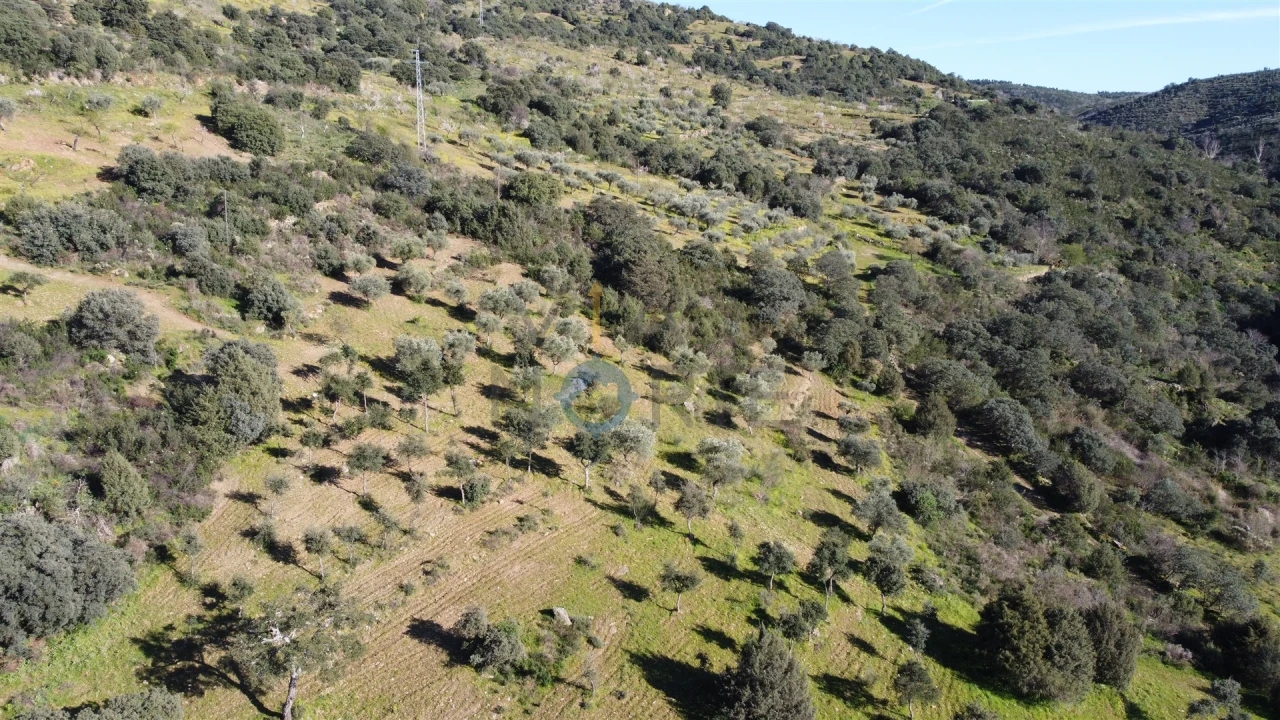 Terreno Agricola ou Rústico para Venda em Eucisia, Gouveia e Valverde Foto 4