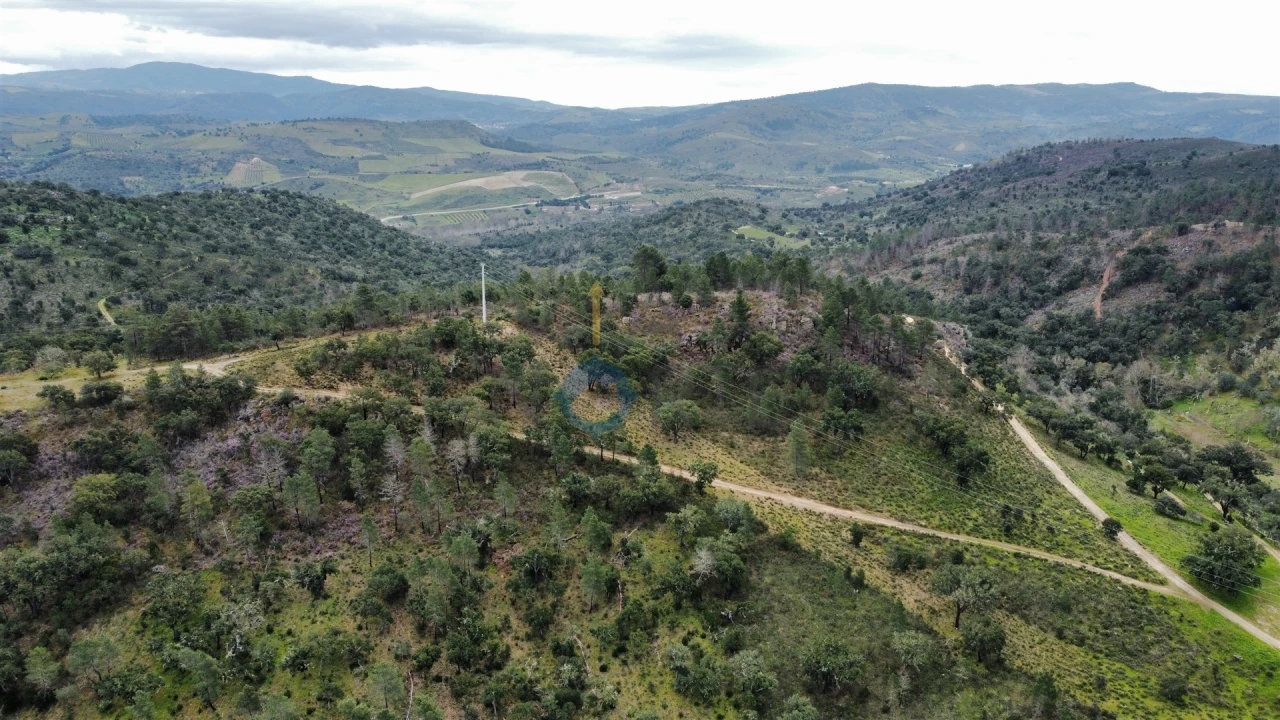 Terreno Agricola ou Rústico para Venda em Barcel, Marmelos e Valverde da Gestosa Foto 5