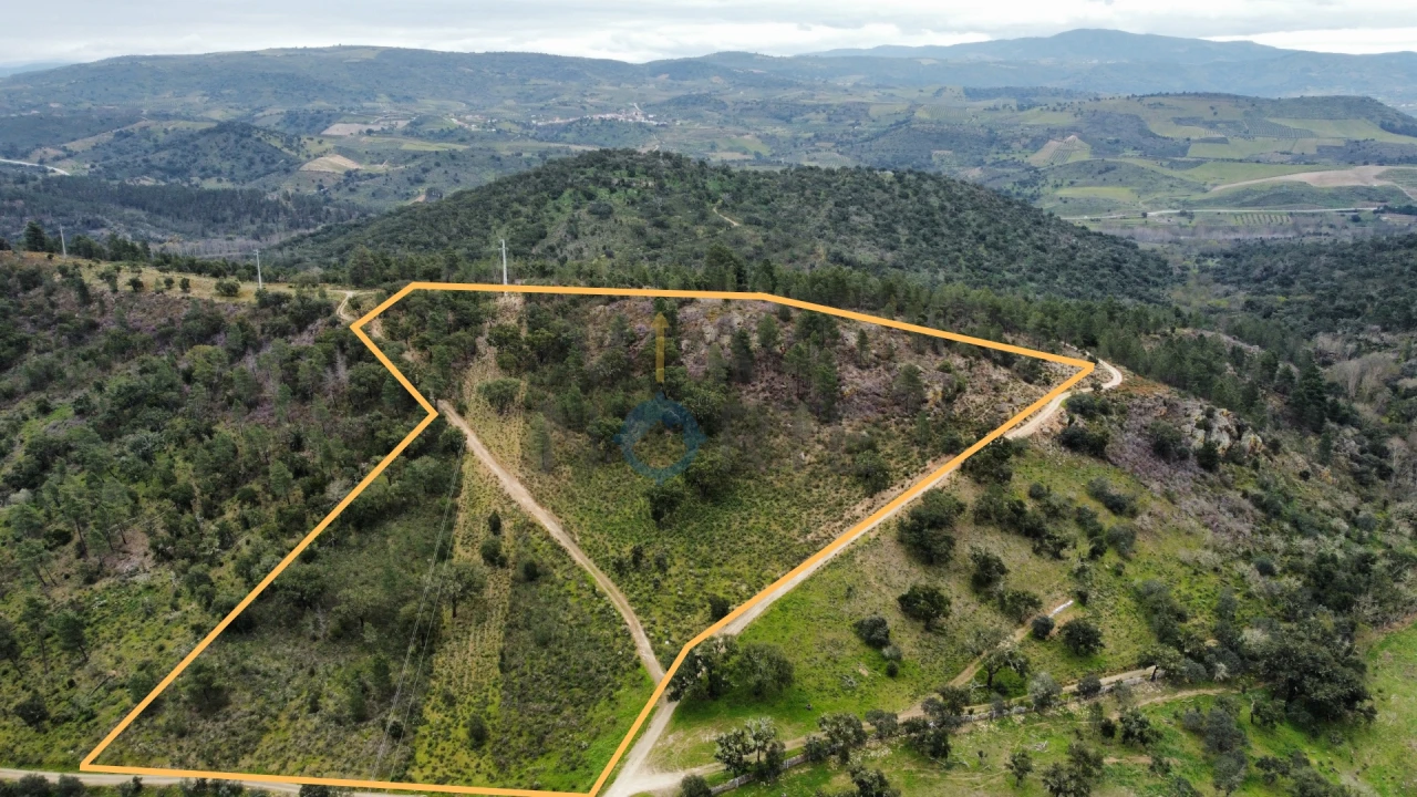 Terreno Agricola ou Rústico para Venda em Barcel, Marmelos e Valverde da Gestosa Foto 1