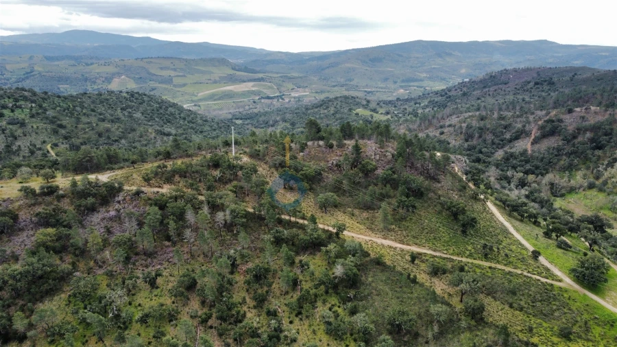 Terreno Agricola ou Rústico para Venda em Barcel, Marmelos e Valverde da Gestosa Foto 5