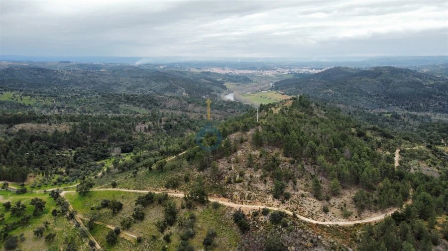 Terreno Agricola ou Rústico para Venda em Barcel, Marmelos e Valverde da Gestosa Foto 4