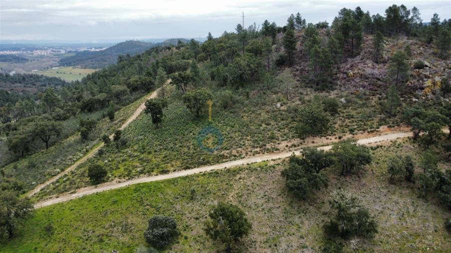 Terreno Agricola ou Rústico para Venda em Barcel, Marmelos e Valverde da Gestosa Foto 2