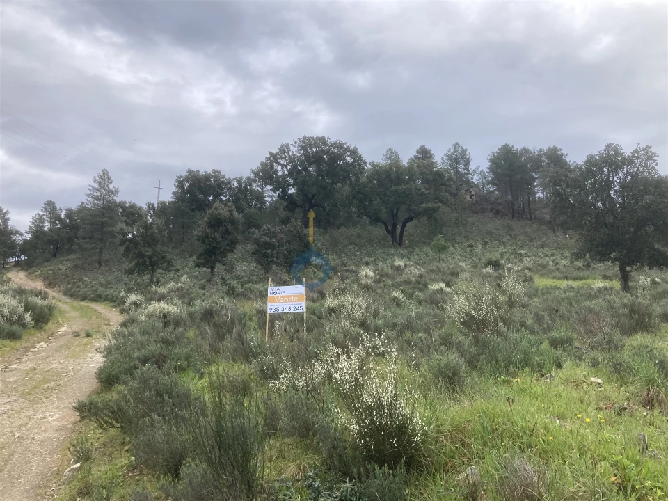 Terreno Agricola ou Rústico para Venda em Barcel, Marmelos e Valverde da Gestosa Foto 3
