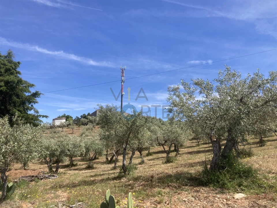 Quinta T7 para Venda em Alfandega da Fe Foto 33