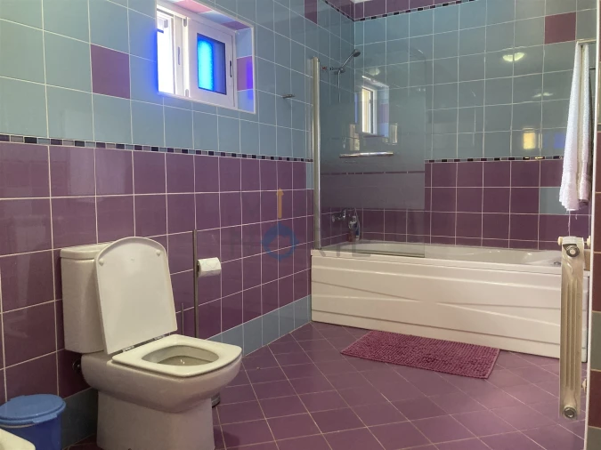 Quinta T7 para Venda em Alfandega da Fe Foto 19