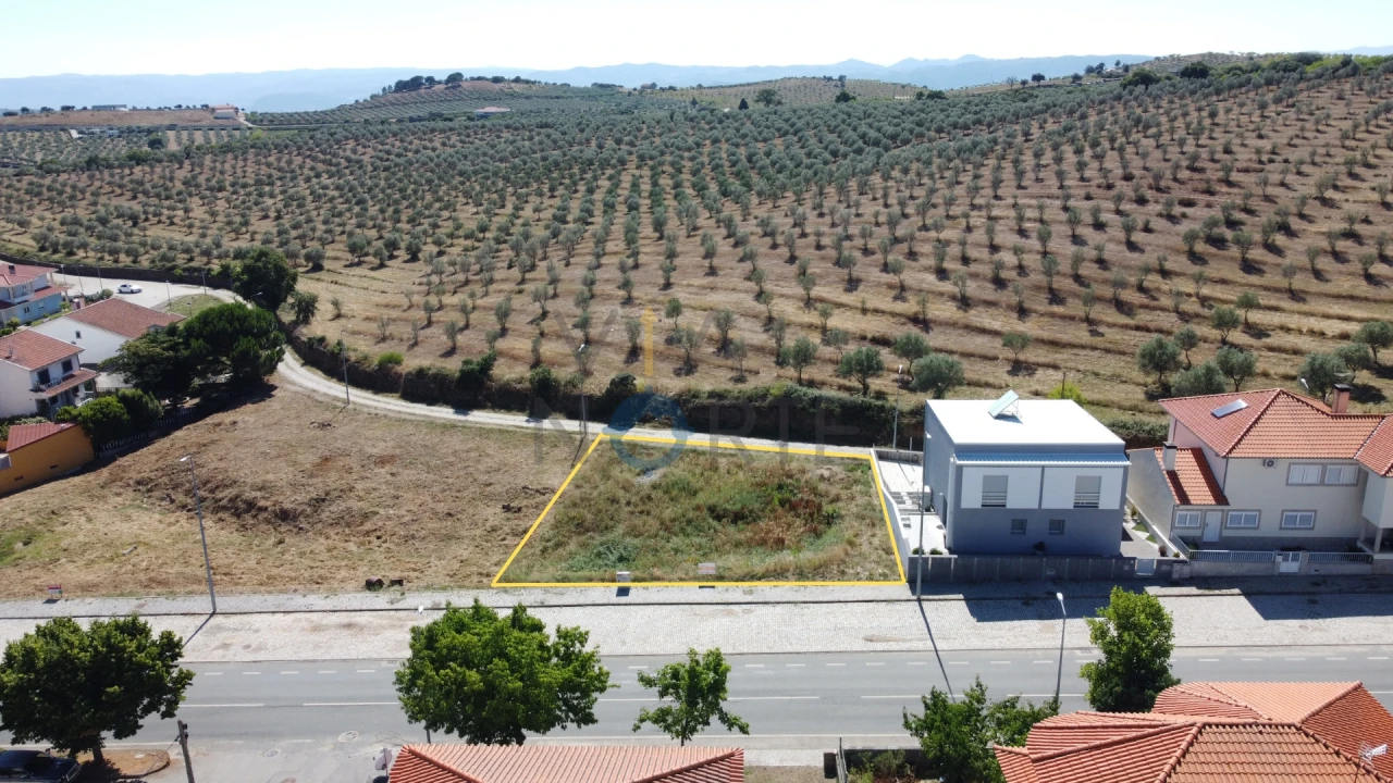 Terreno para Venda em Alfandega da Fe Foto 1
