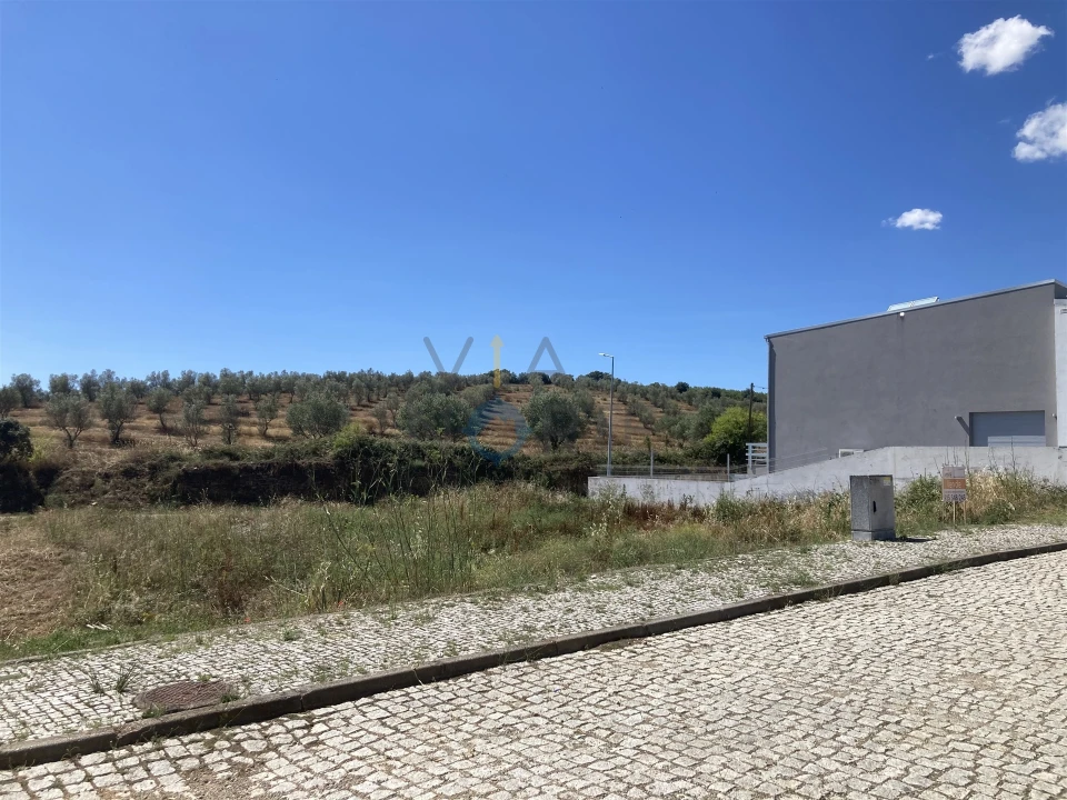 Terreno para Venda em Alfandega da Fe Foto 3