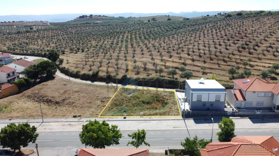 Terreno para Venda em Alfandega da Fe Foto 1