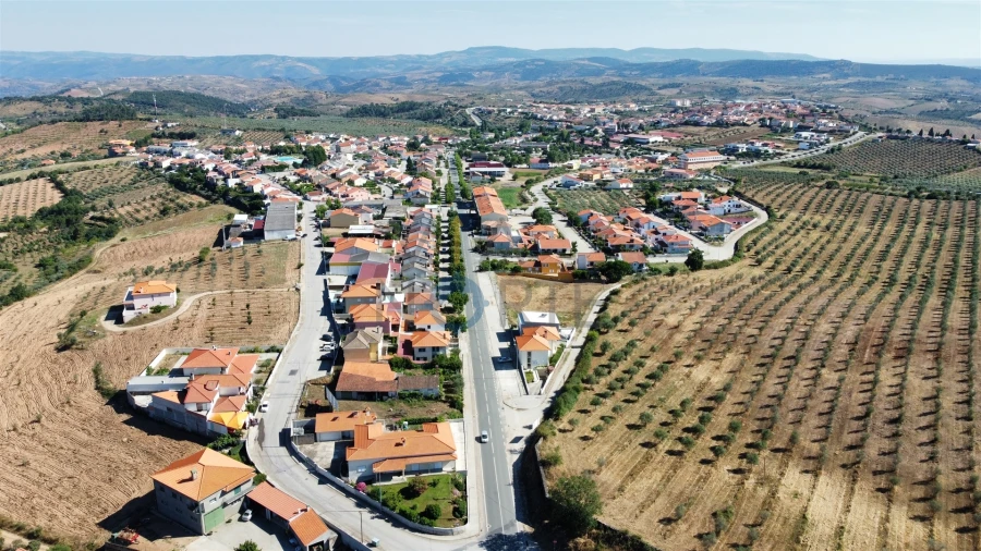 Terreno para Venda em Alfandega da Fe Foto 8