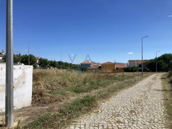 Terreno para Venda em Alfandega da Fe Foto 6