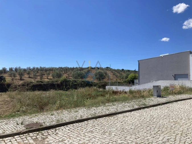 Terreno para Venda em Alfandega da Fe Foto 3