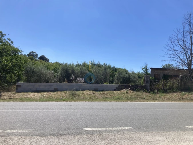 Terreno para Venda em Alfandega da Fe Foto 5