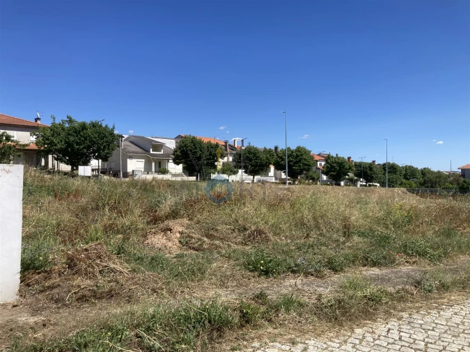 Terreno para Venda em Alfandega da Fe Foto 7