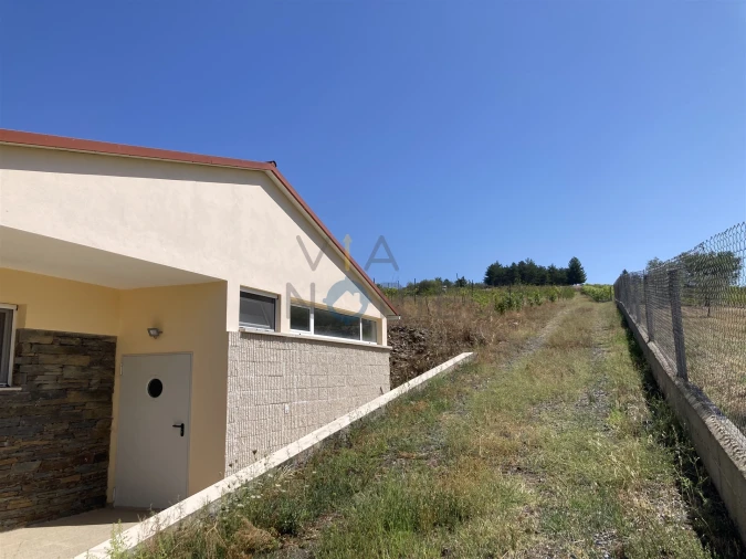 Quinta T0 para Venda em Castelãos e Vilar do Monte Foto 12