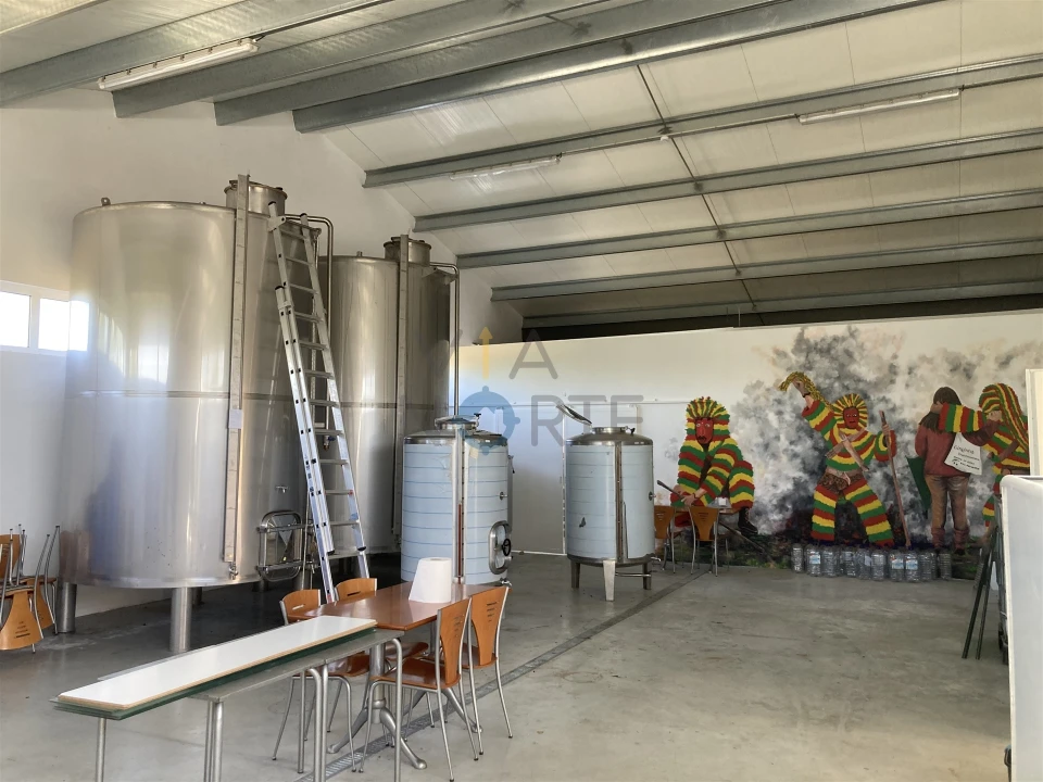 Quinta T0 para Venda em Castelãos e Vilar do Monte Foto 1