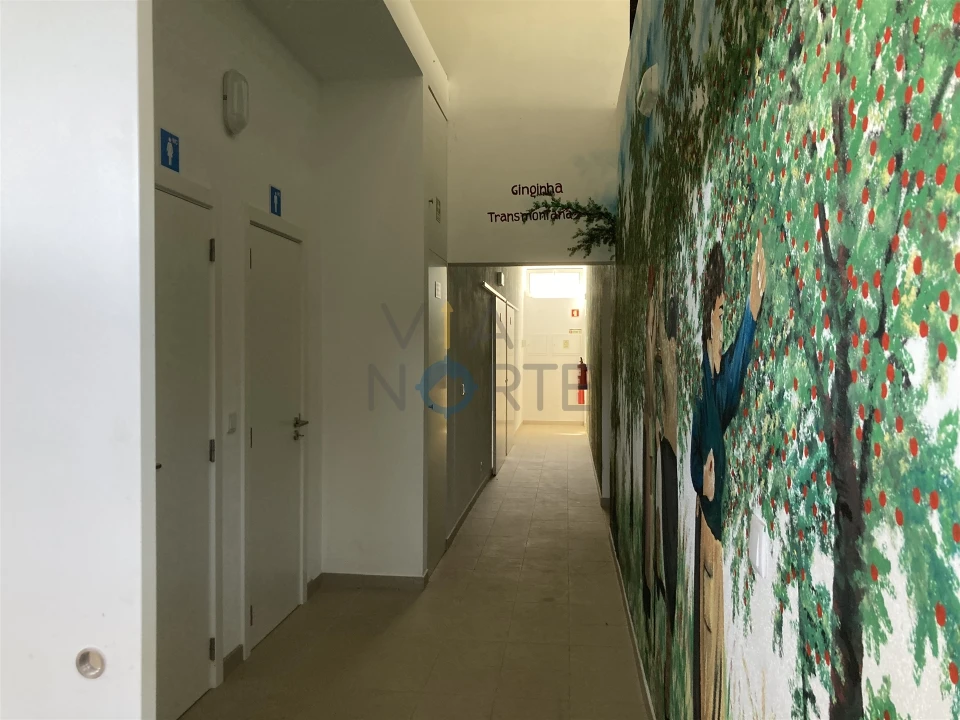 Quinta T0 para Venda em Castelãos e Vilar do Monte Foto 4