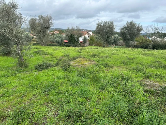 Terreno para Venda em Silgueiros Foto 7