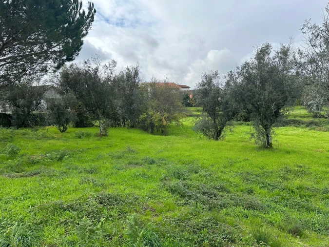 Terreno para Venda em Silgueiros Foto 6