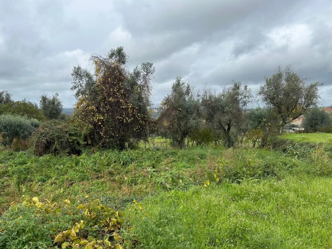 Terreno para Venda em Silgueiros Foto 4