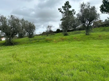 Terreno para Venda em Silgueiros