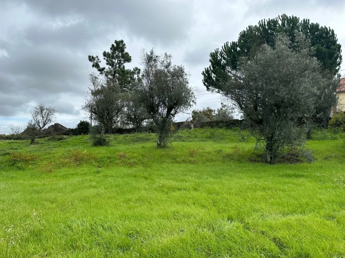 Terreno para Venda em Silgueiros Foto 5