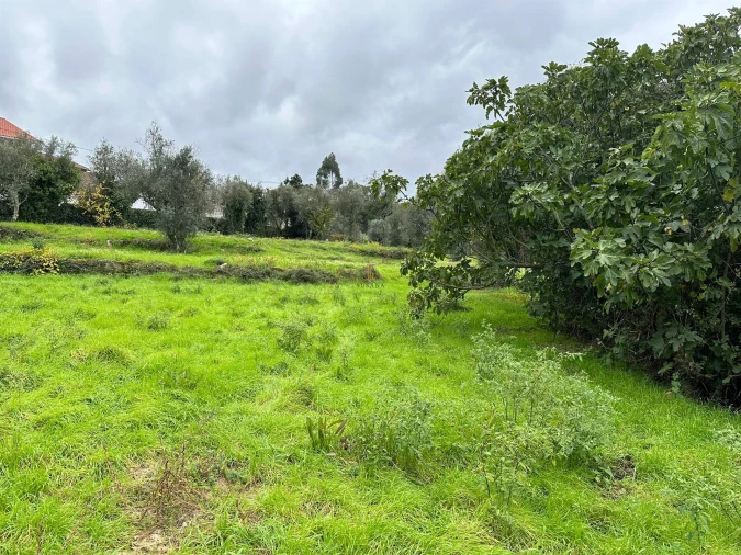 Terreno para Venda em Silgueiros Foto 2