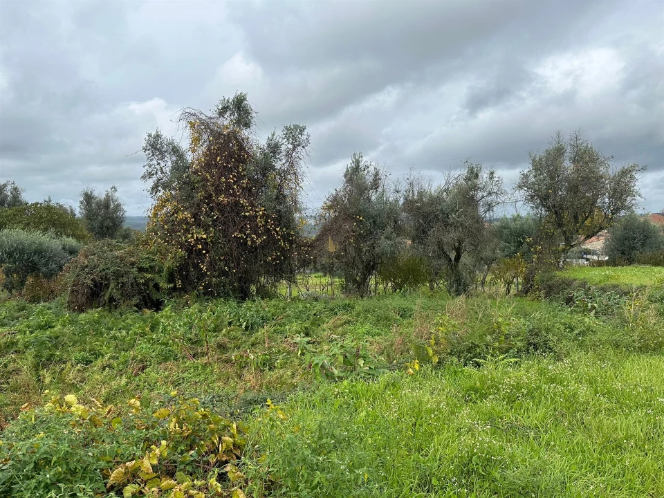 Terreno para Venda em Silgueiros Foto 4