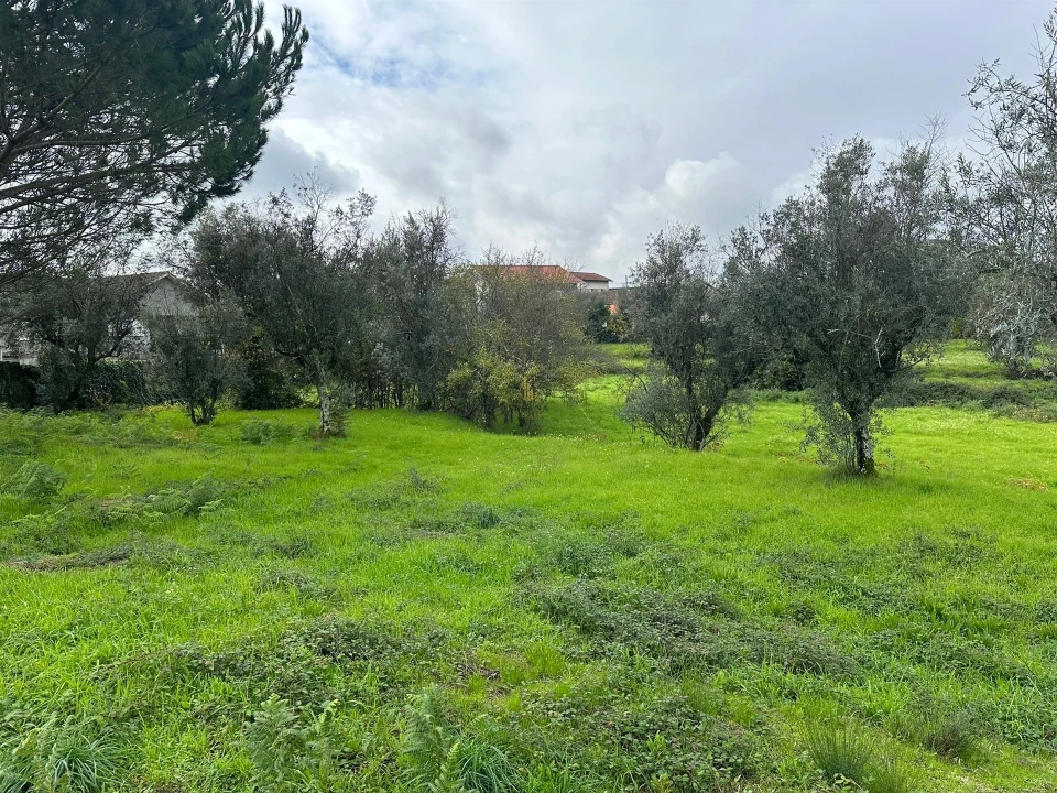 Terreno para Venda em Silgueiros Foto 6