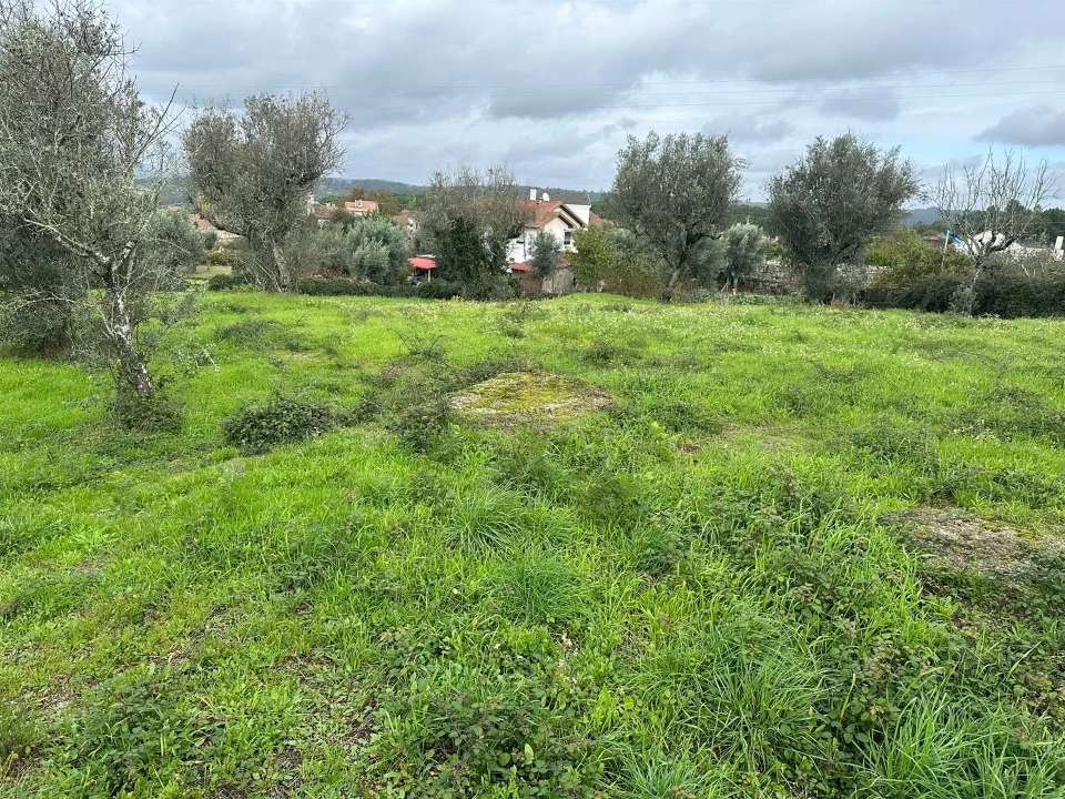 Terreno para Venda em Silgueiros Foto 7